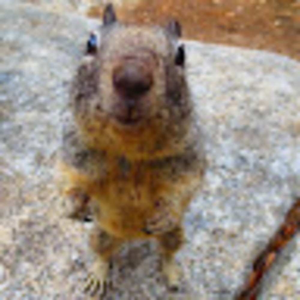 Meet your Posher, Julia